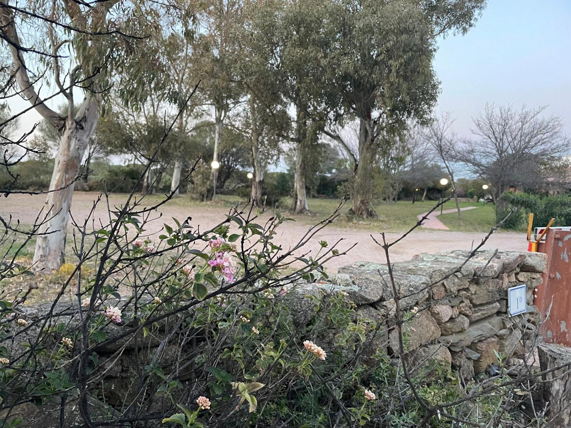 Villa Gegi بودوني المظهر الخارجي الصورة